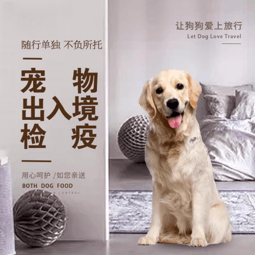 哈密地区宠物托运到哥伦比亚猫狗宠物入境规定和