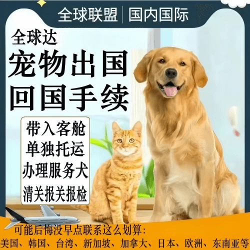 哈密地区宠物托运到柬埔寨宠物入境规定和要求