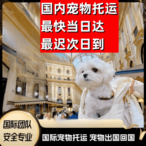哈密地区到澳大利亚（澳洲）宠物入境规定和要求