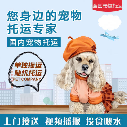 满财哈密地区宠物全球达宠物托运作为专业的宠物运输代理机构